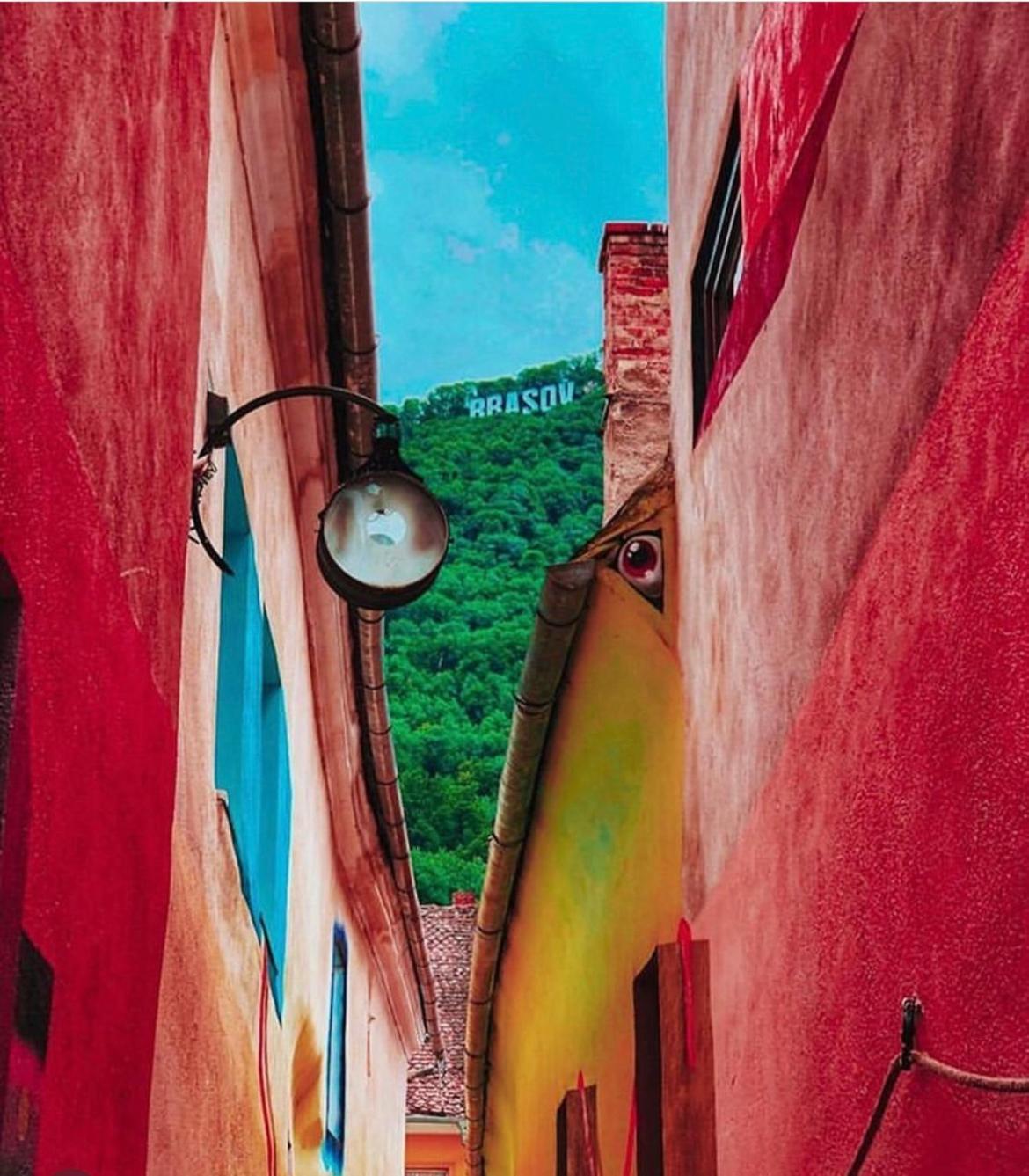Vibe Brasov